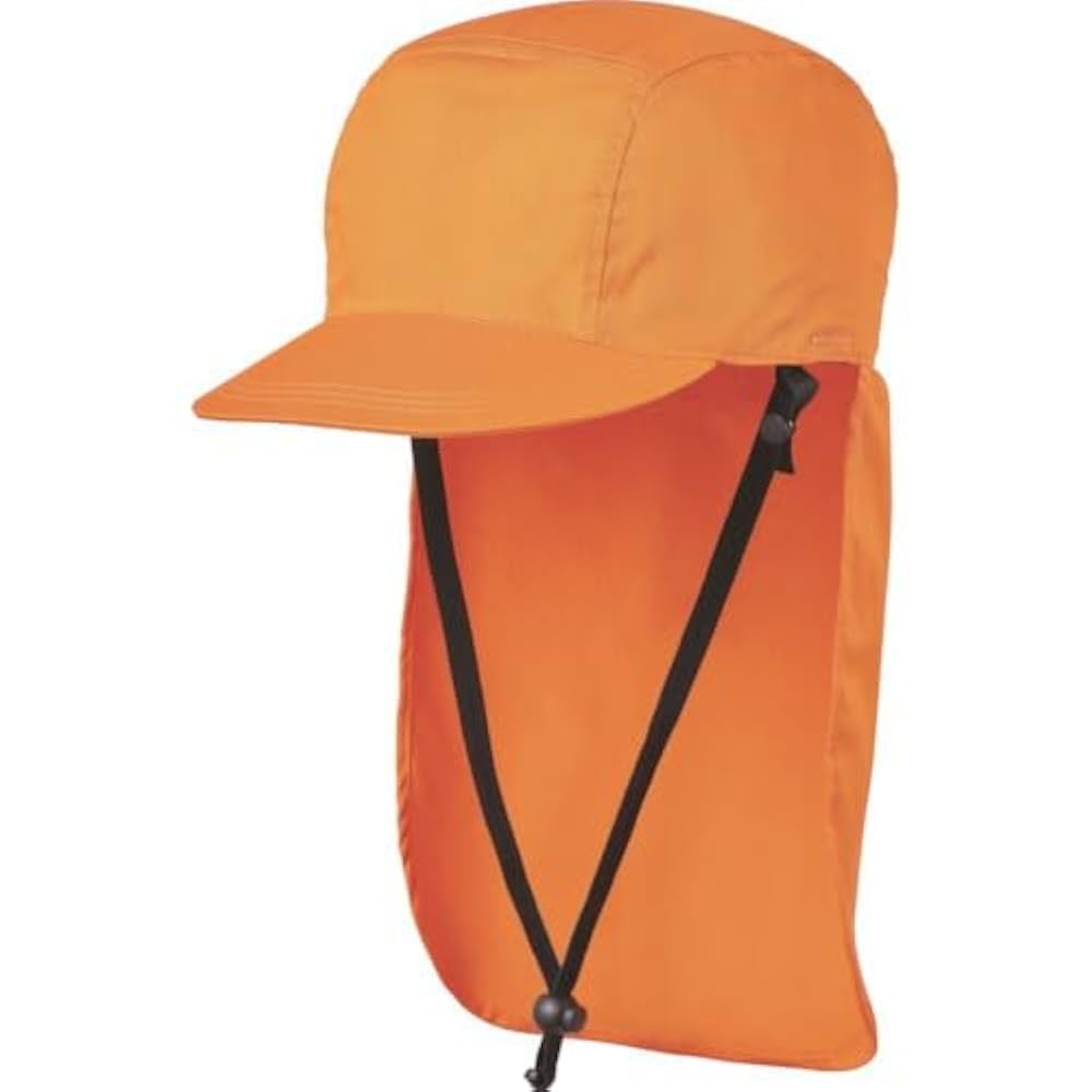 防炎製品 Amazon.co.jp: DIC IZANO CAP2 防炎タイプ SM